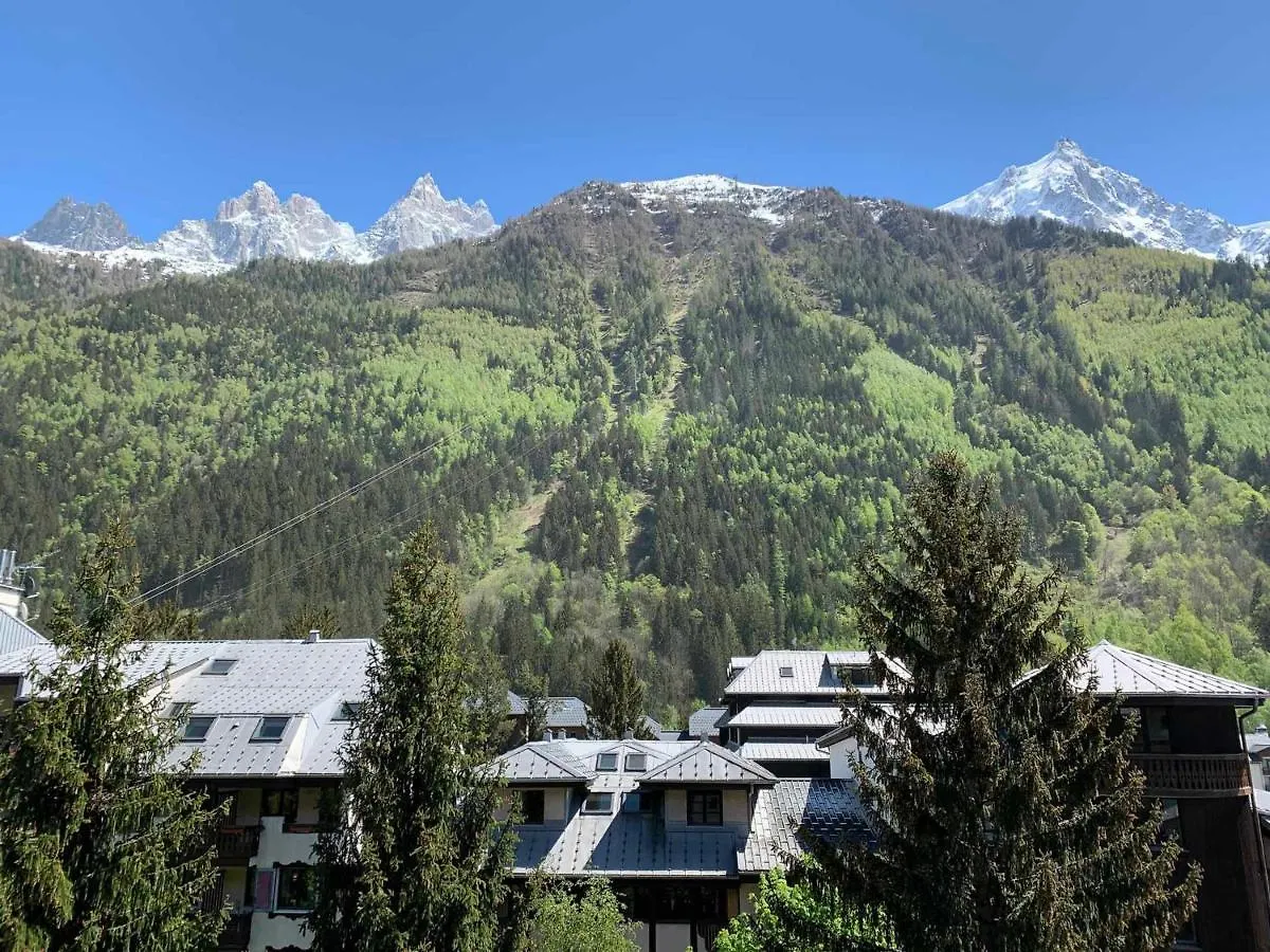 Studio Cosy A Chamonix Proche Du Ski-Bus - Fr-1-343-238 Apartment
